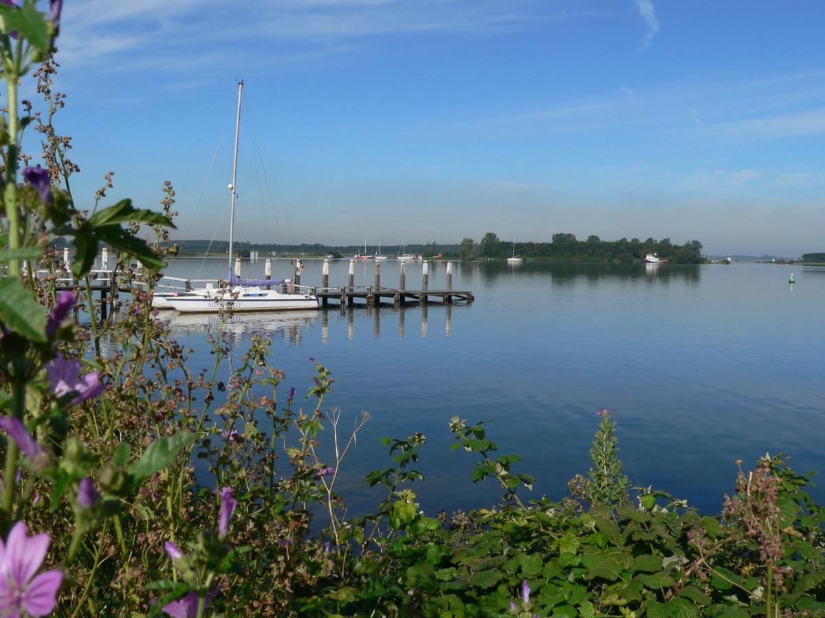 Vakantiehuis Noord-Beveland, Samen Met De Hond Colijnsplaat Exterior photo